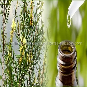 TEA TREE OIL ESSENTIAL OIL