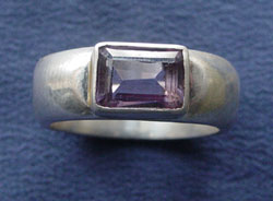 Viola