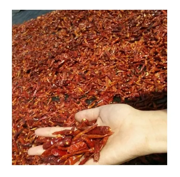 Factory Price Red Chili Pepper For Spice Hot Chili Powder Hot Selling From Vietnam