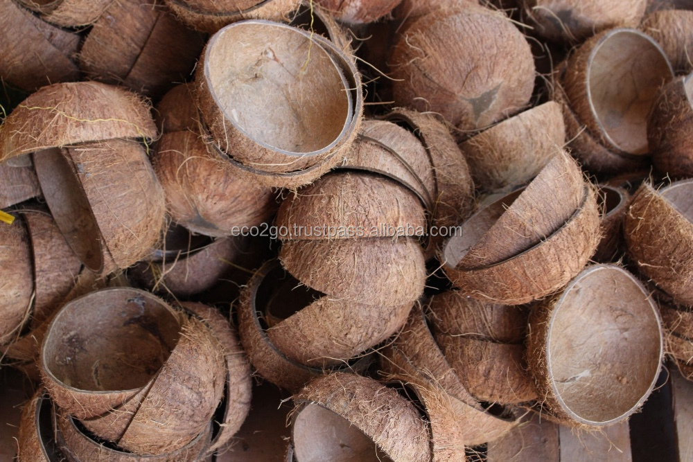 Kaki foncé