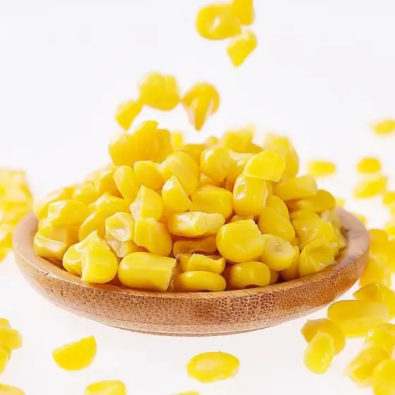 hot sale canned corn sweet canned corn