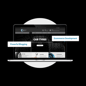 WordPress网站服务 | 印度WordPress网站和应用解决方案 | Protolabz eServices - Product Image 3