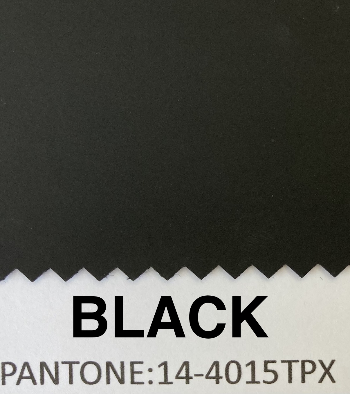 Black 19-4015TPX
