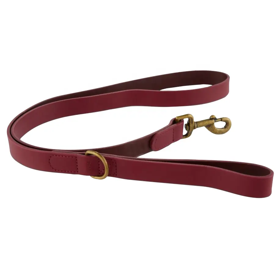 Laisse en cuir pour chien, accessoire pour les animaux de compagnie, design gratuit, en vogue