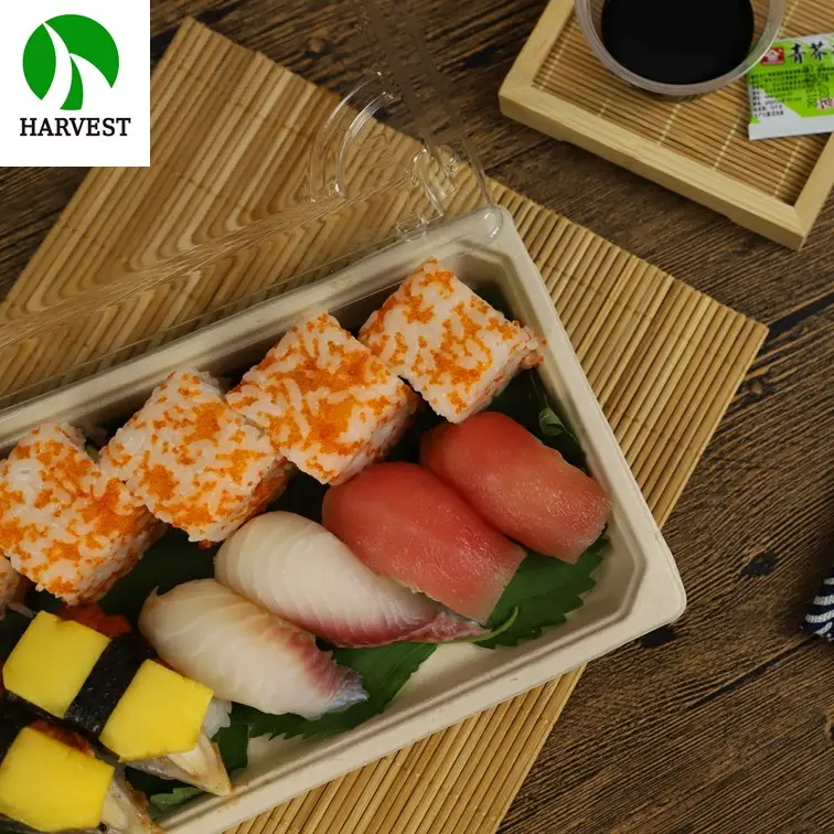 Kotak Bubur Kertas Tingkat Makanan Sushi Jepang untuk Makanan dengan Tutup Bening