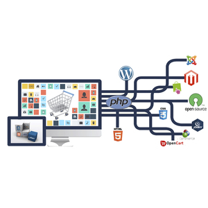 En İyi PHP Web hizmetleri | Özel PHP uygulama hizmetleri-Protolabz eservices