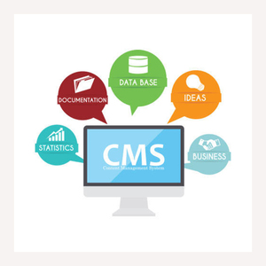 Custom CMS Website | CMS Based Web Services in India | Protolabz EServices - Product Image 2
