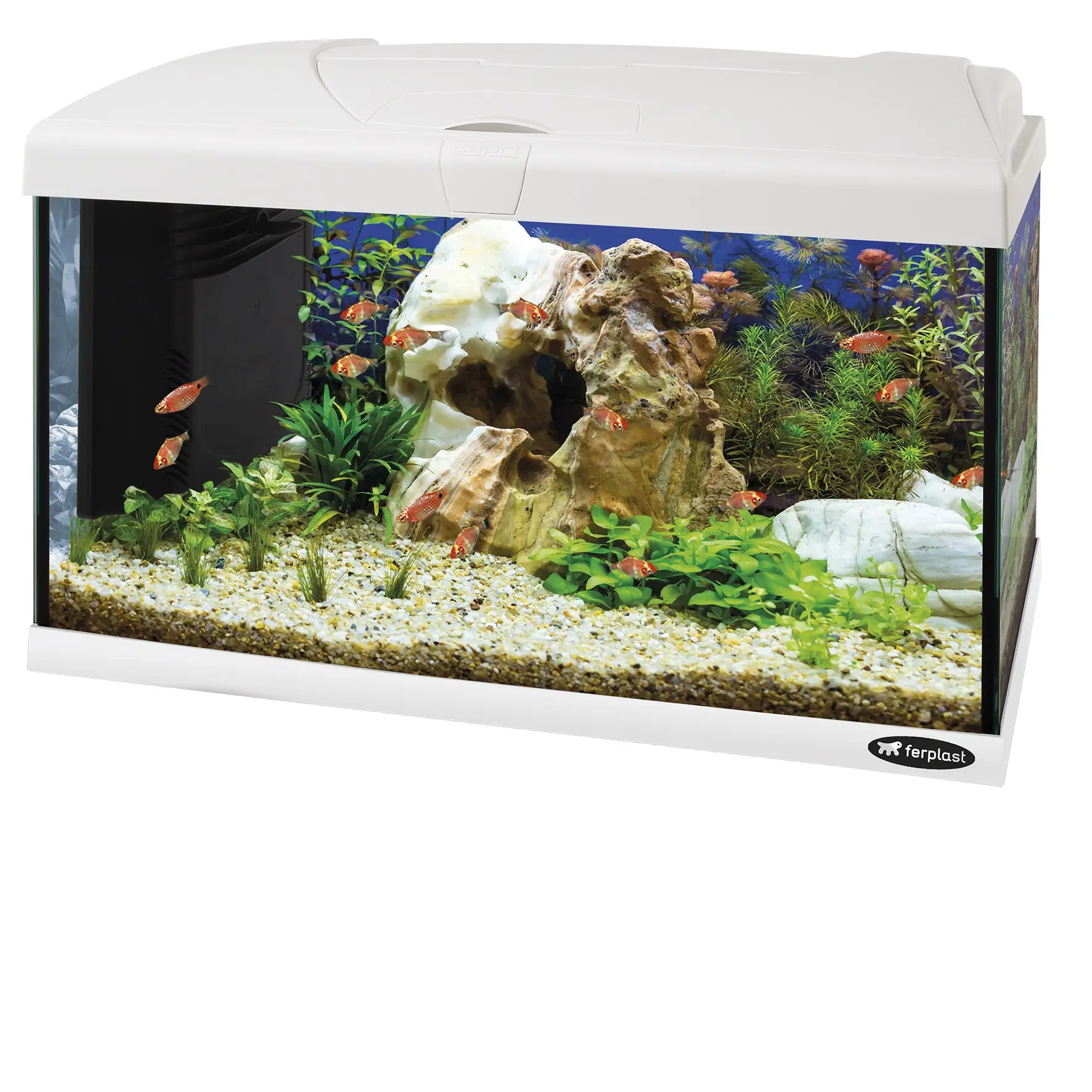 Ferplast Capri 60 Led-60 L. Glas Aquarium Met Led Lamp, Interne Filter En Verwarming. 2 Kleuren.