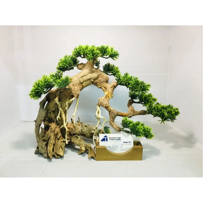 Hot Itens Preço por atacado Bonsai Driftwood planta do aquário para Aquarium Aquascaping WhatsApp: + 84 961005832