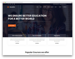 Designer di siti Web professionali |