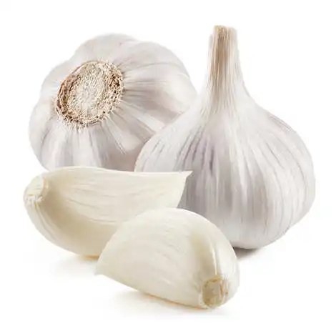 Fresh Garlic