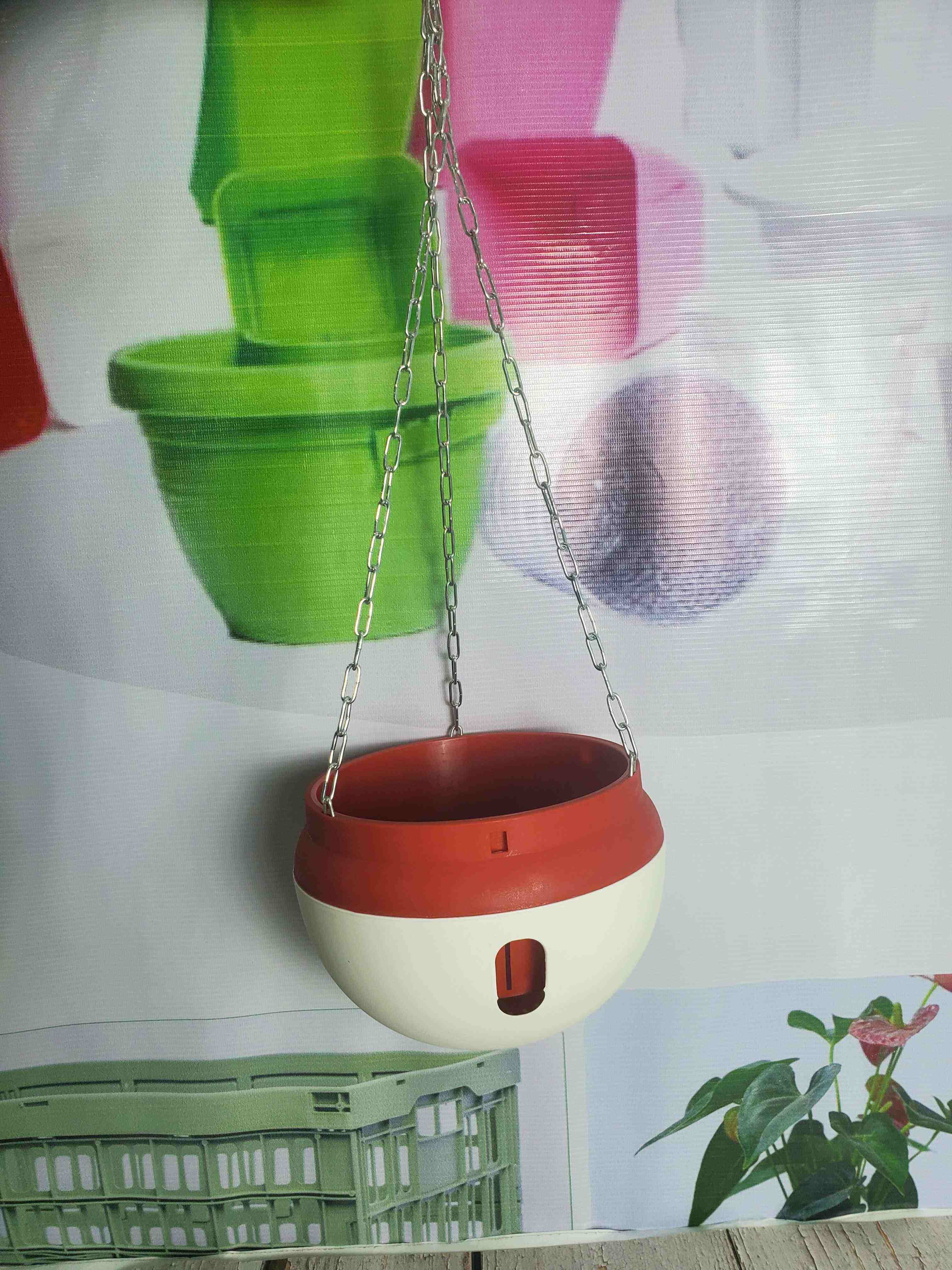 สีน้ำตาล