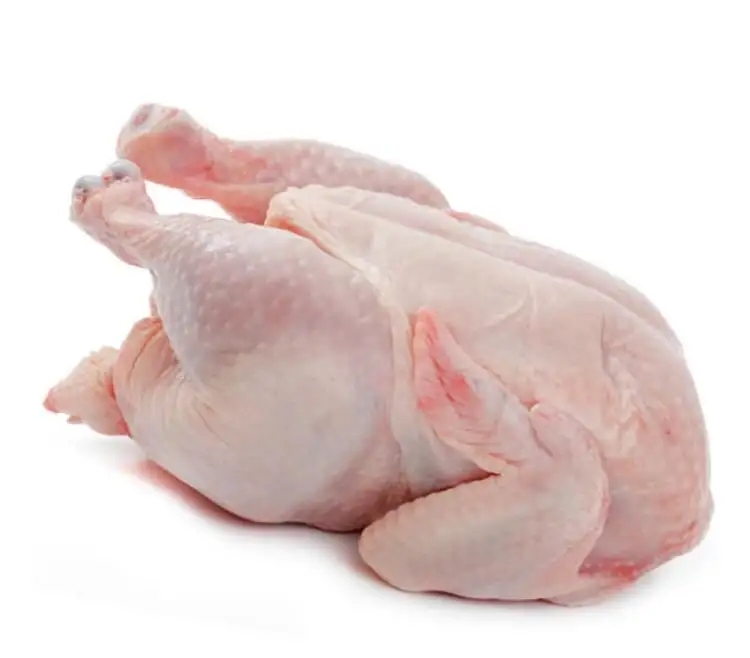 Frozen Chicken Feet Chicken Paws for Sale Bulk Poland Top Box Style Crab Trans Mix Packaging Feature Weight Sugar Fat Shelf Wing