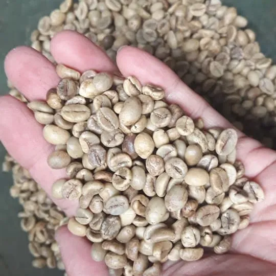 Coffee beans from Vietnam