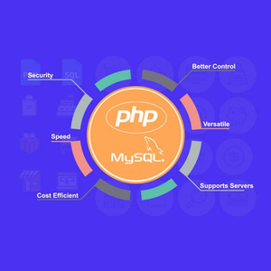 PHP MYSQL uygulama servisi | Protolabz eServices