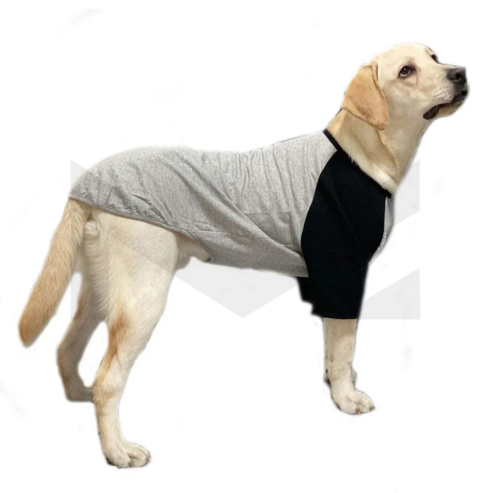 Köpek pamuk gömlekler küçük ve büyük köpekler için Raglan t-shirt yumuşak nefes köpek gömlek pet giysi toptan Pet giyim