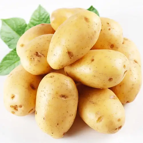 Pommes de terre fraîches fraîches de haute qualité, du Pakistan, blanches et rouges