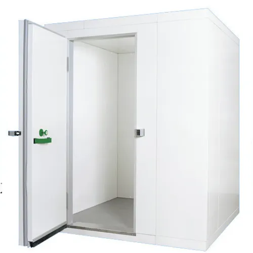 Congélateur isolé Mobile chambre froide/stockage au froid pour viande/poisson/légumes