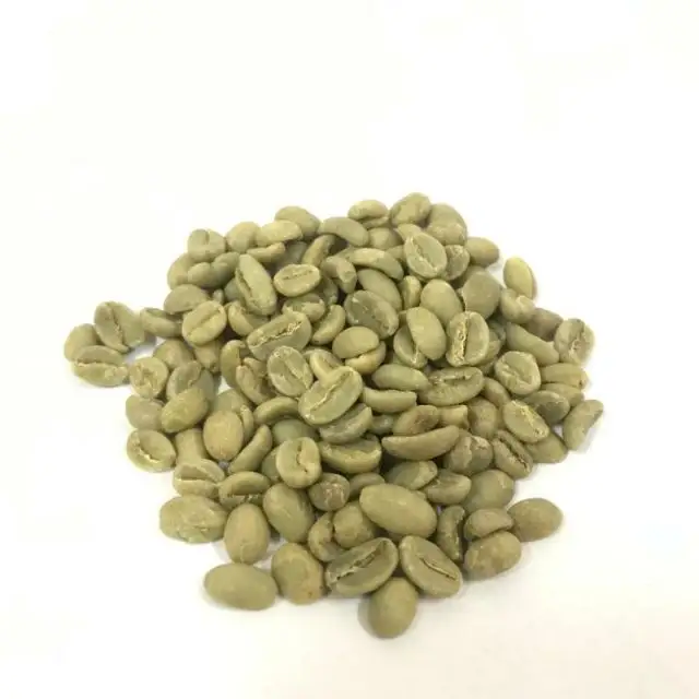 Grains de café bruta du Vietnam, 16 à 18 niveaux, produit importé du Vietnam, couleur verte, écran en stock