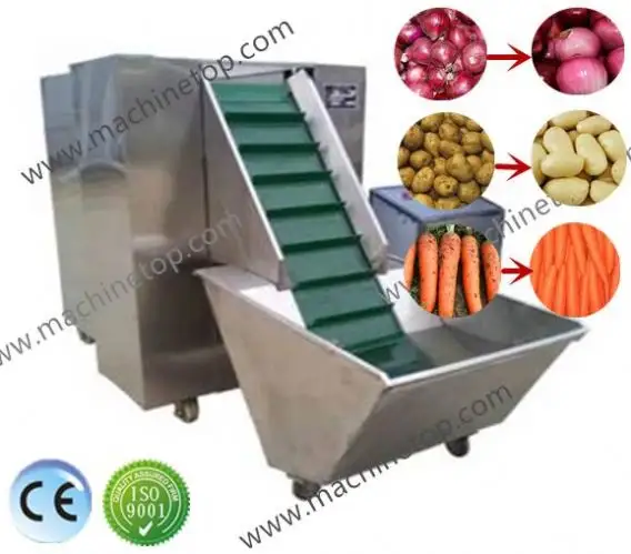 Fruit and vegetable washing machine