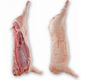 Yüksek kalite dondurulmuş domuz eti/domuz Hind bacak/domuz ayakları mevcuttur .. - Product Image 5