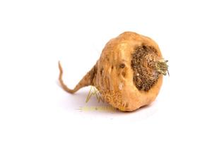 Maca ราก100% ธรรมชาติ Gelatinized Maca ผงเปรู - Product Image 3
