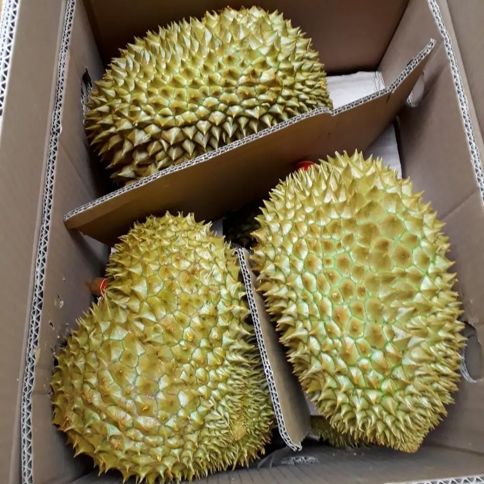 Bevroren Durian Mongthong Voor Export-Ri6 Durian-Good Price-Ms. Esther (Whatsapp: 84 963590549)