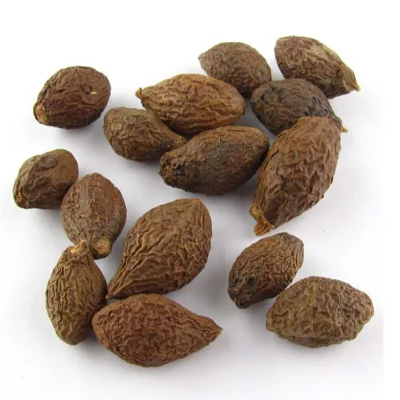 MALVA NUT | SCAPHIUM AFFINE HIGH QUALITY AND COMPETITIVE PRICE FROM VIETNAMESE SUPPLIER 2023 (WHOLESALE)