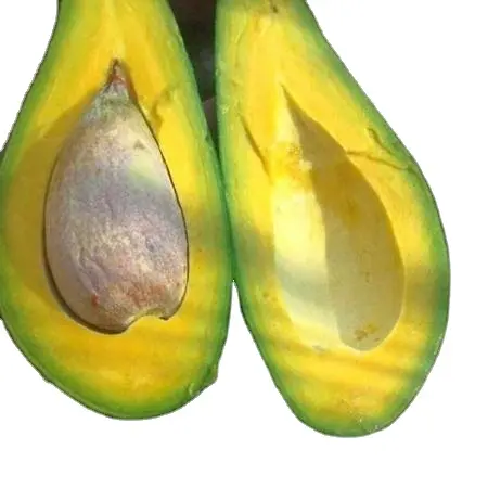 Avocat en acier inoxydable, artisanat de fêtes, avocat à petit prix