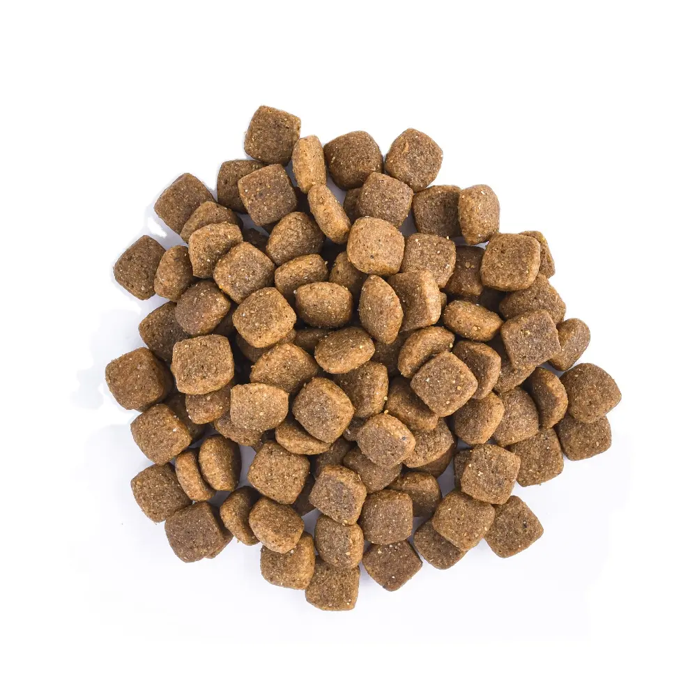 Alimento Natural Premium para perros pequeños con sabor a Cordero, Mini alimento para perros adultos de 3Kg, 4 unidades