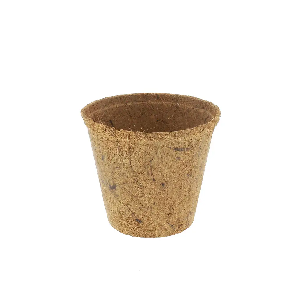 Vaso per piante da interno in miniatura sostenibile ecologico in fibra di cocco per la decorazione del giardino di casa