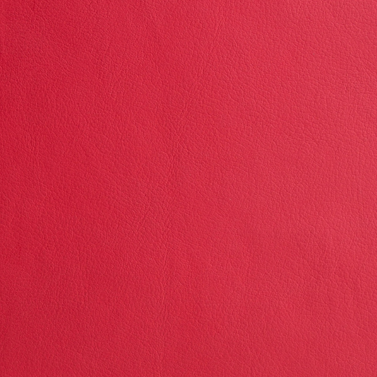 กุหลาบต้นแมดเด