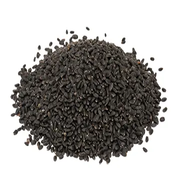 Basil Seeds (Tukhm-e-Malanga, TukhmeRehan)
