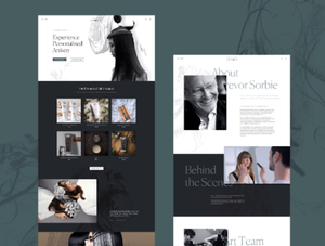 Professional <strong>Web</strong> Developers <strong>Design</strong> Custom E-commerce Applications Software Per Website <strong>Design</strong> Requirements Mac Supported Online