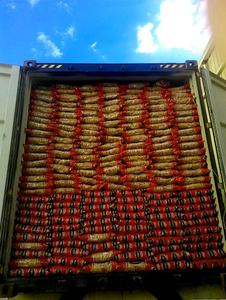 Sava serin 25kg makarna hamuru Premium kalite İtalyan Fusilli kutusu toplu alım için özel etiket uluslararası nakliye - Product Image 5