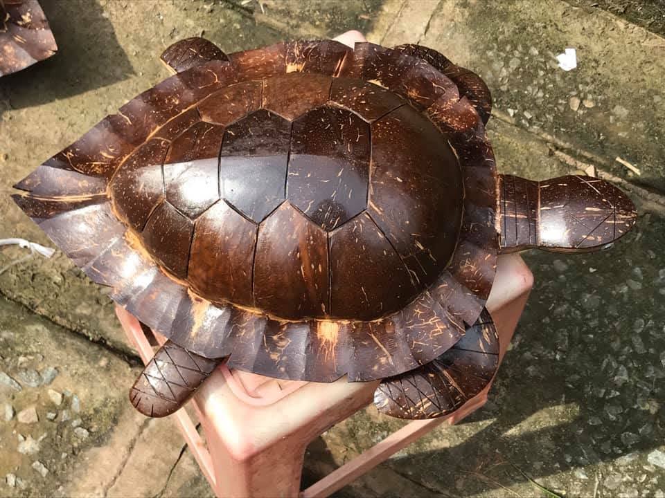 มะพร้าวธรรมชาติ