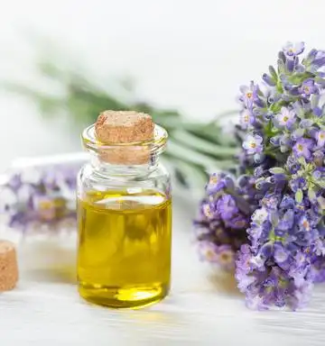 Disetujui GMP Pasokan Minyak Lavender dengan Harga Rendah 100% Produsen Minyak Lavender India Murni untuk Penyebar Aroma