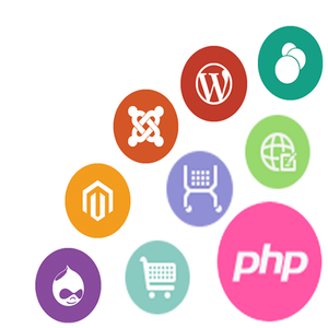 <strong>PHP</strong> <strong>Web</strong> <strong>Development</strong> Company India