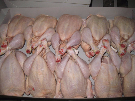 Halal Whole Frozen Chicken and Chicken Cuttings