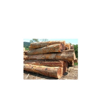 Sawn Teak Azobe günlükleri/kiraz günlükleri satılık düşük maliyetleri. - Product Image 3