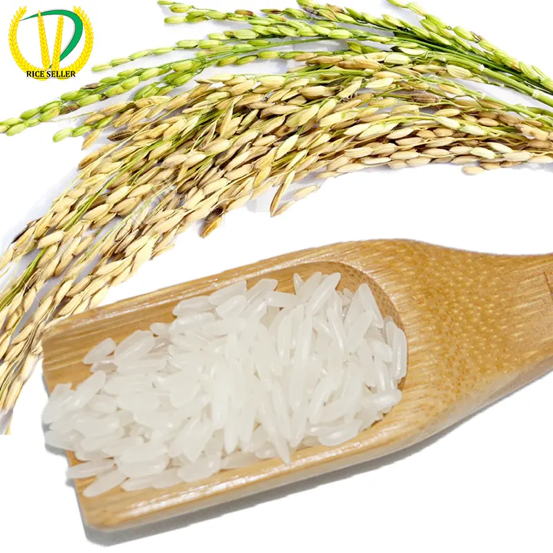 "गर्म गर्म गर्म" वियतनाम नई फसल चिपचिपा चमेली चावल बेचने के लिए तैयार-वियतनाम चमेली चावल-चमेली चावल थोक व्यापारी