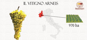 750 ml Roero ArneisDOCG Brothers Giuseppe Verdi Selection白ワインイタリア製 - Product Image 2