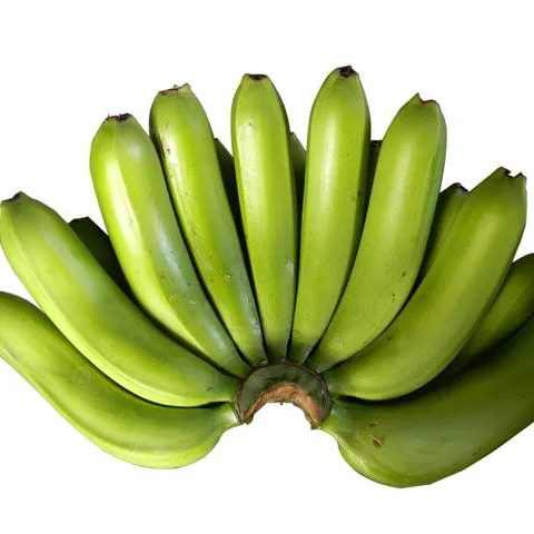 Plátano cavenlavavajillas fresco, listo para exportarse