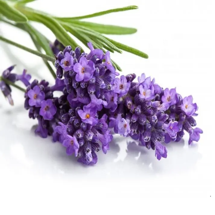 Aceite de lavanda indio 100% puro, 100 ml, embalaje de aluminio, aceite esencial Natural, descuento adicional para pedidos a granel