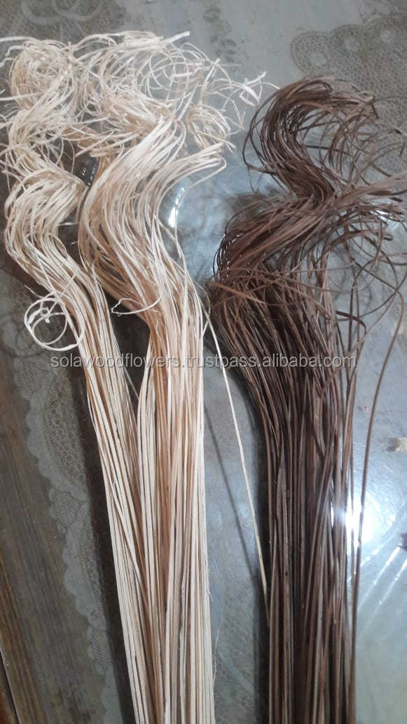 ธรรมชาติ