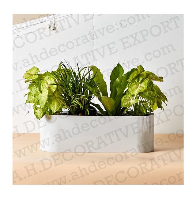 หมอกสีเทา