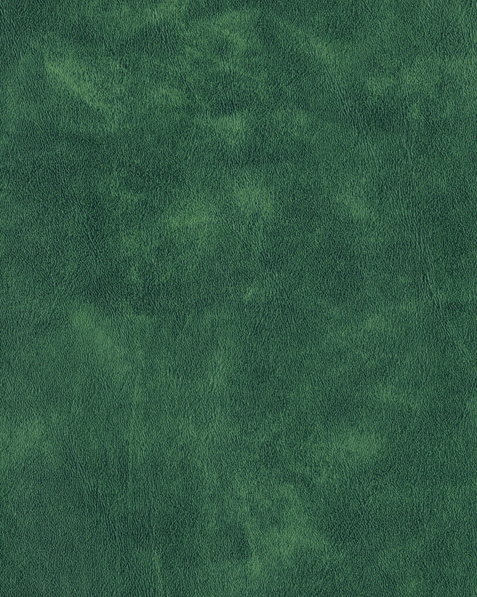 กองทัพสีเขียว