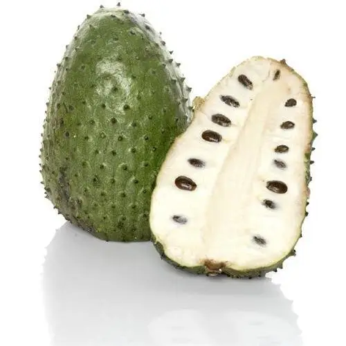 Frozen IQF Soursop with high quality and best price - AXEL + 84 38 776 0892