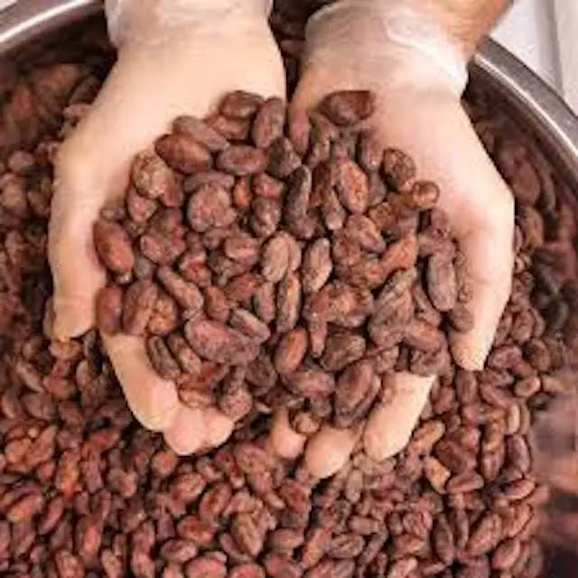 2021 распродажа лучшая оптовая цена какао бобы, сушеные какао бобы Criollo для продажи в пакетах 50 кг, сушеные ферментированные какао низкая цена