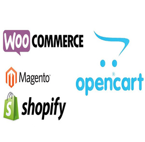 Servizi di sviluppo di siti web di carrelli aperti Multi-servizio sito web di e-commerce attività Online - Product Image 5